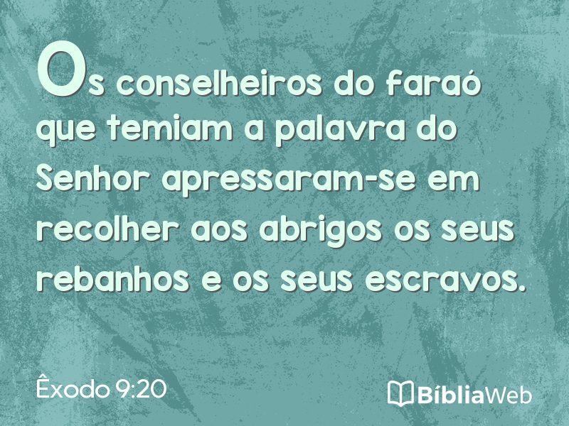 Êxodo 9:20 em imagem para compartilhar