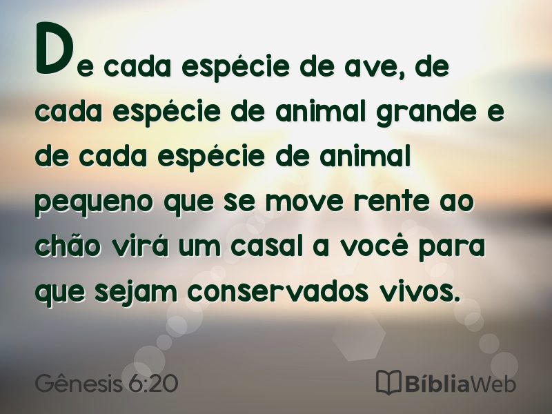 Gênesis 6:20 em imagem para compartilhar