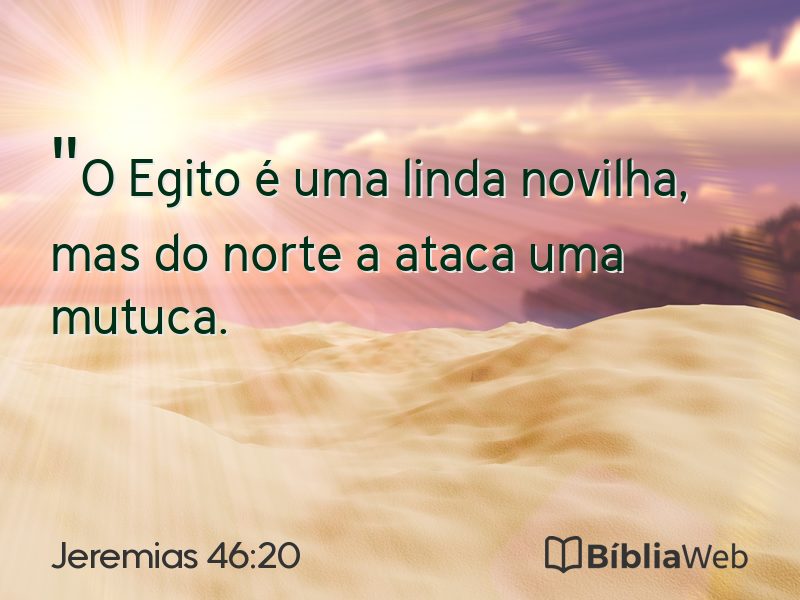 Jeremias 46:20 em imagem para compartilhar