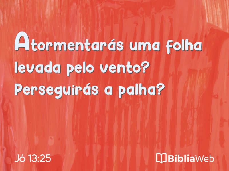 Jó 13:25 em imagem para compartilhar