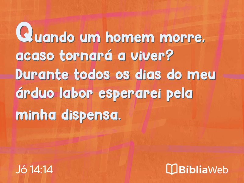 Jó 14:14 em imagem para compartilhar