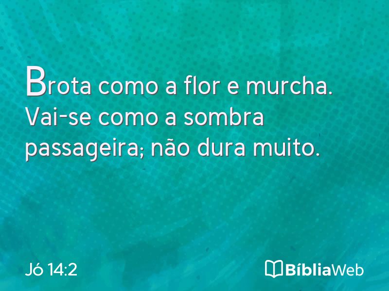 Jó 14:2 em imagem para compartilhar