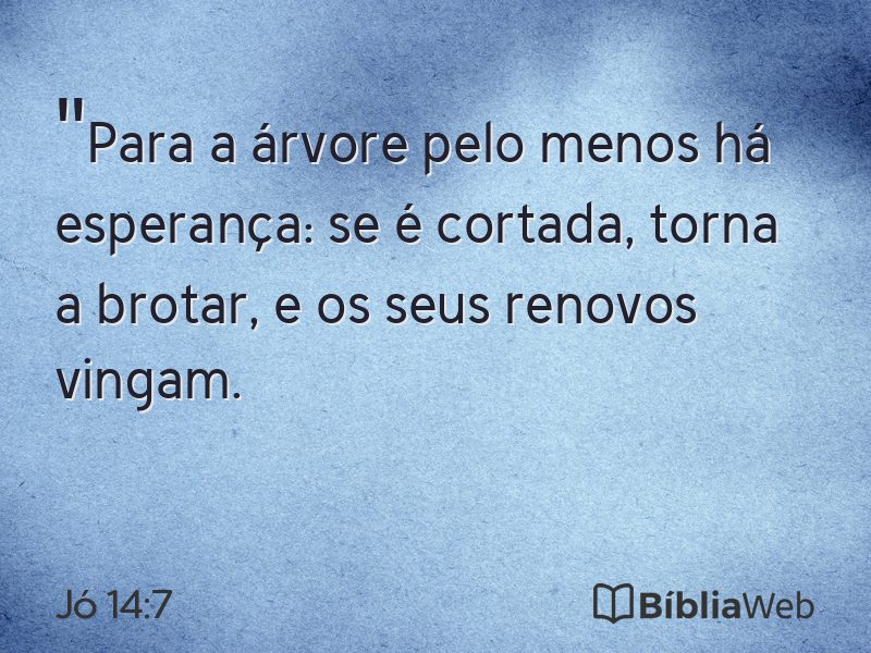 Jó 14:7 em imagem para compartilhar