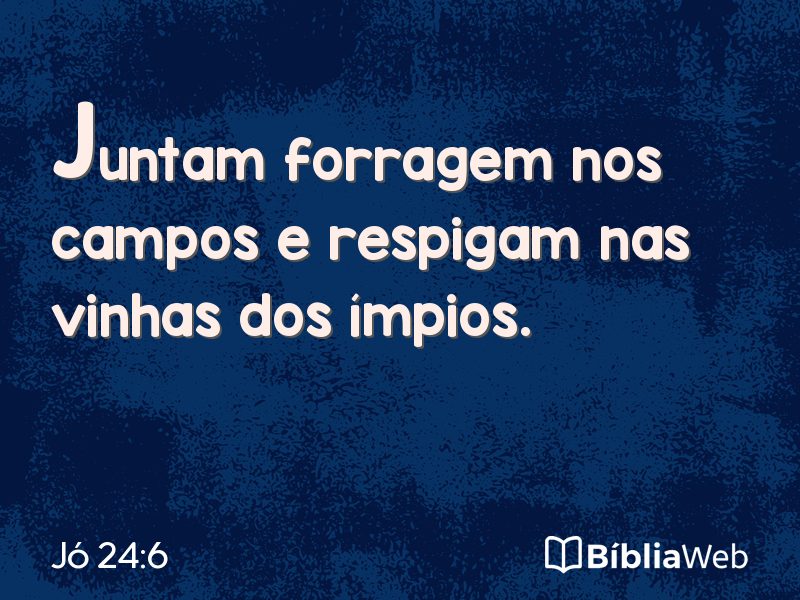 Jó 24:6 em imagem para compartilhar