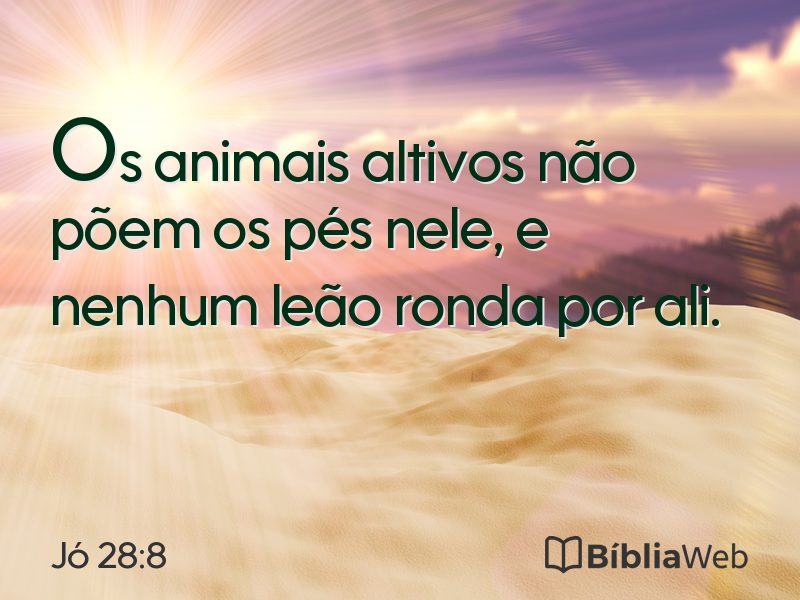 Jó 28:8 em imagem para compartilhar