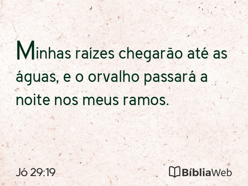 Jó 29:19 em imagem para compartilhar