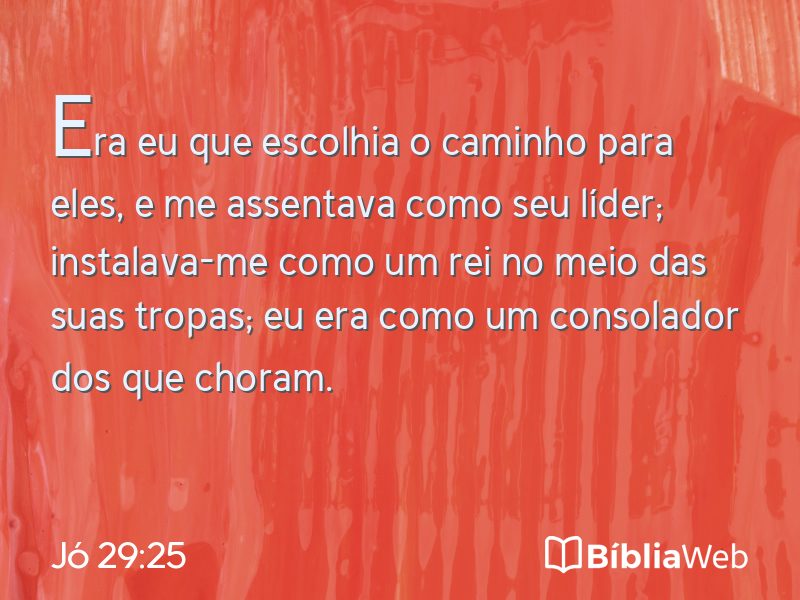 Jó 29:25 em imagem para compartilhar