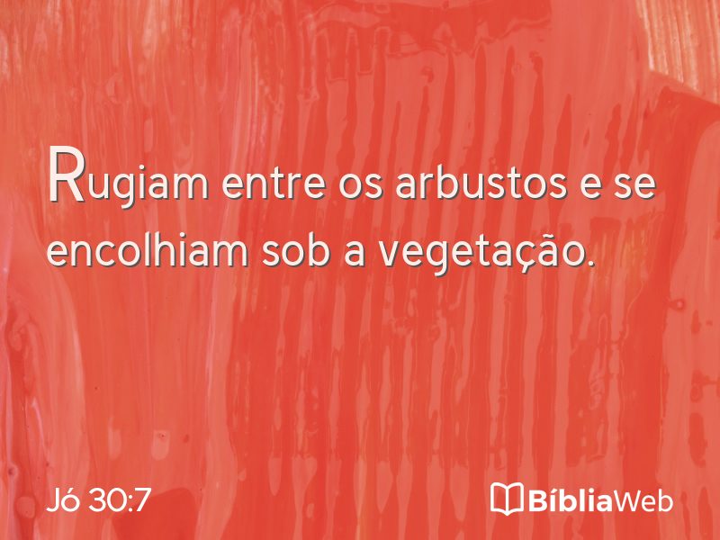 Jó 30:7 em imagem para compartilhar