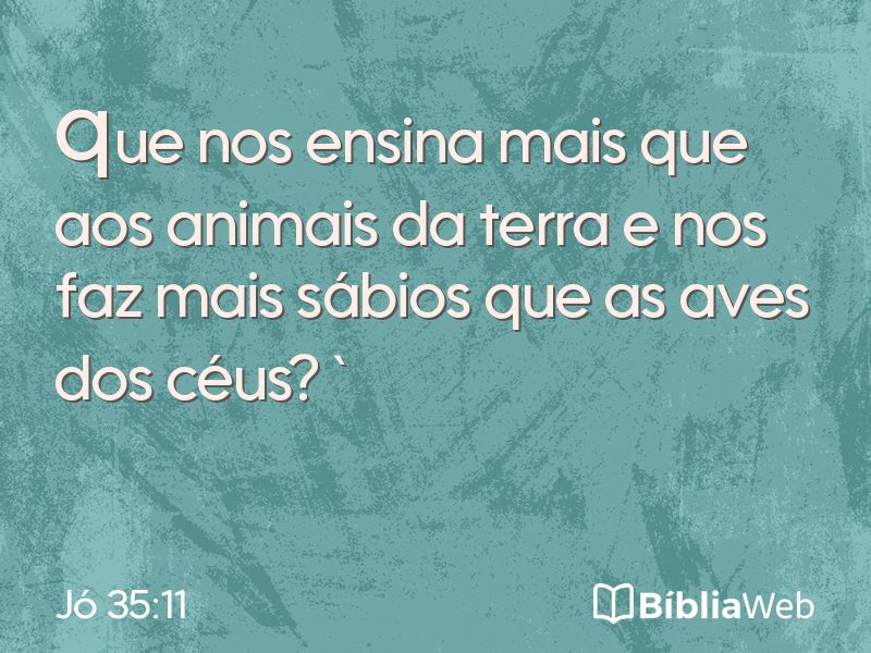 Jó 35:11 em imagem para compartilhar