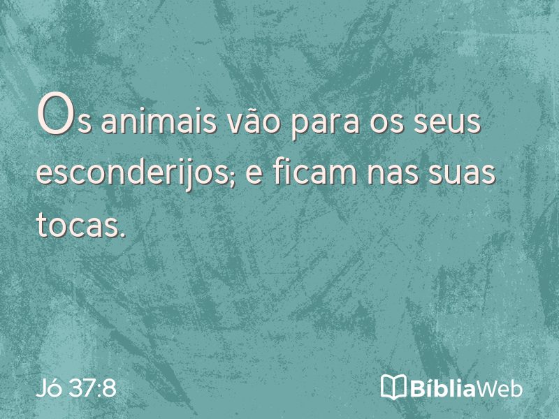 Jó 37:8 em imagem para compartilhar