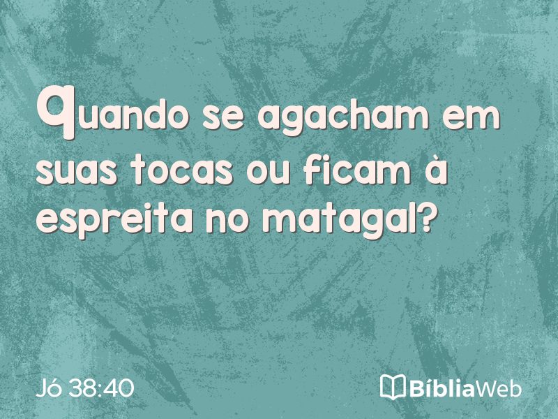 Jó 38:40 em imagem para compartilhar