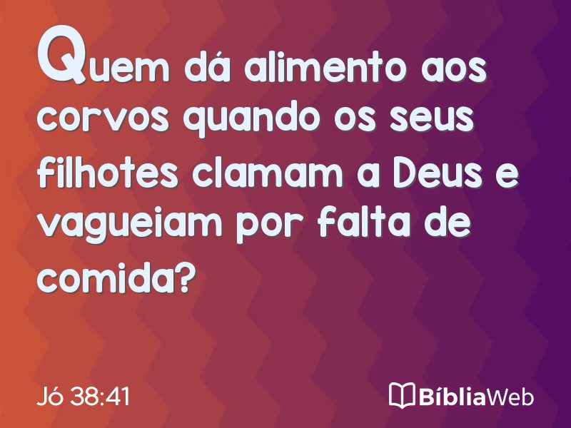 Jó 38:41 em imagem para compartilhar