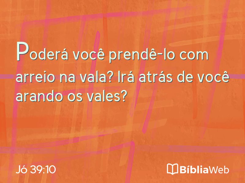 Jó 39:10 em imagem para compartilhar
