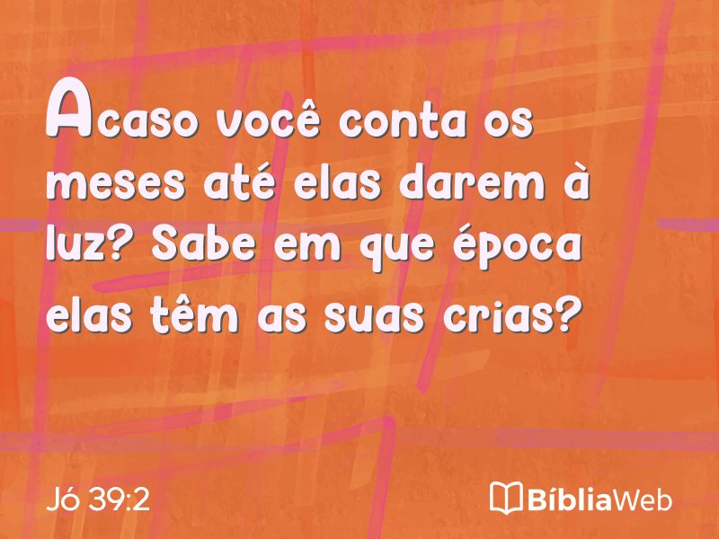 Jó 39:2 em imagem para compartilhar