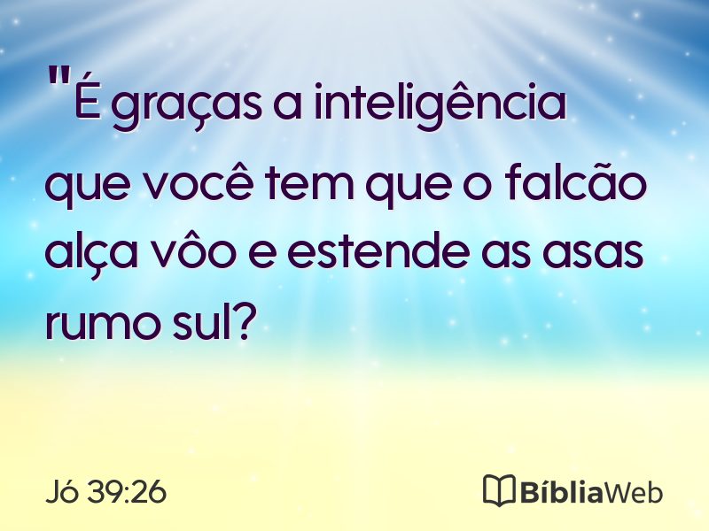 Jó 39:26 em imagem para compartilhar
