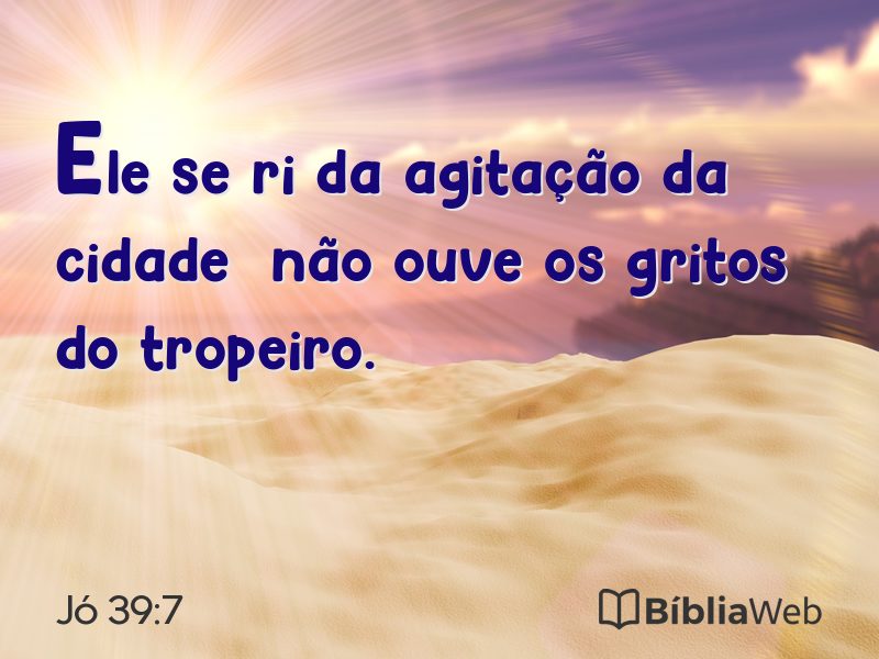 Jó 39:7 em imagem para compartilhar