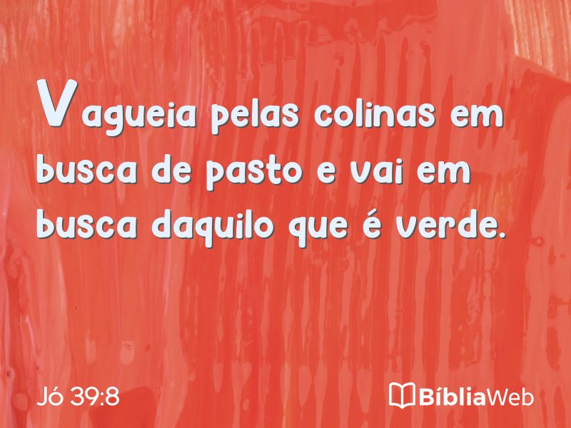 Jó 39:8 em imagem para compartilhar