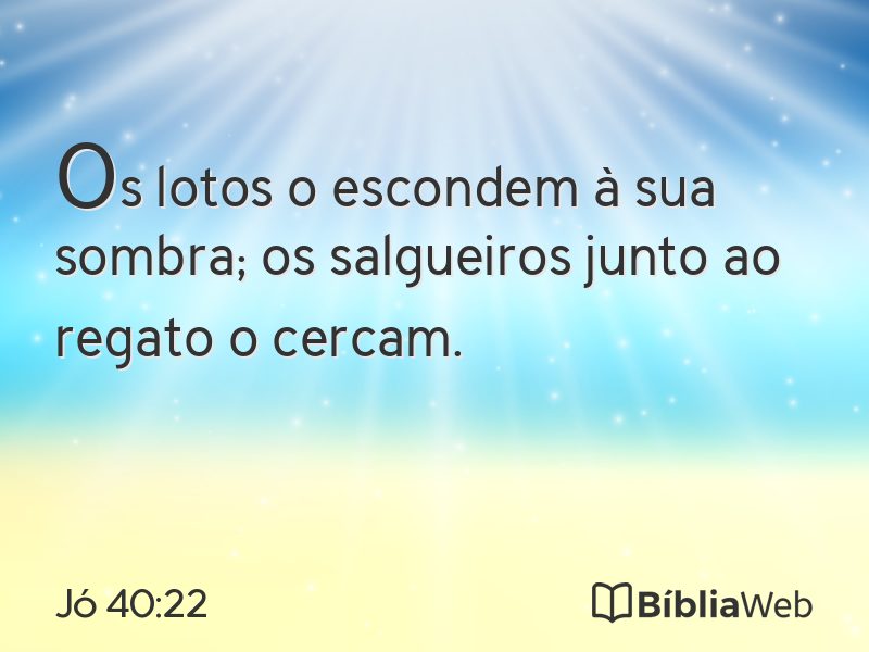 Jó 40:22 em imagem para compartilhar