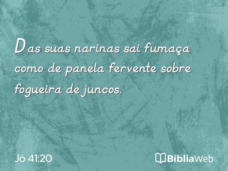 Jó 41:20 em imagem para compartilhar
