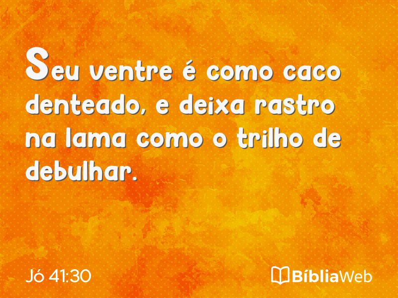 Jó 41:30 em imagem para compartilhar