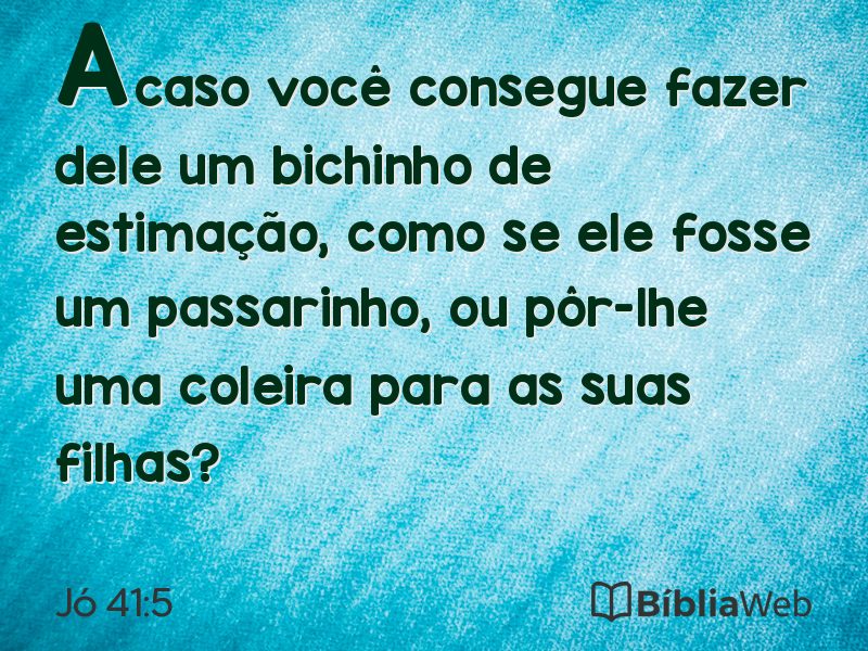 Jó 41:5 em imagem para compartilhar