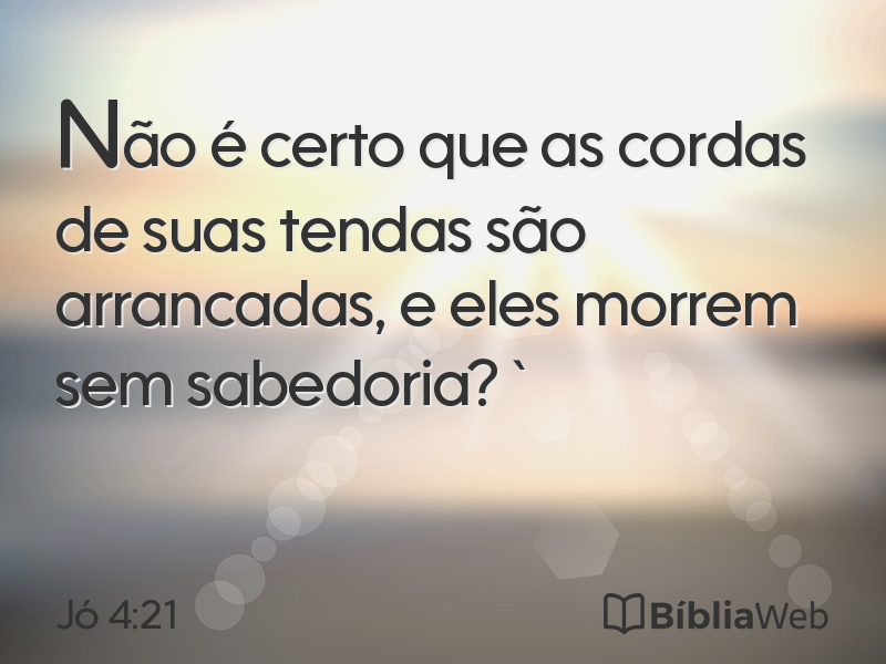 Jó 4:21 em imagem para compartilhar