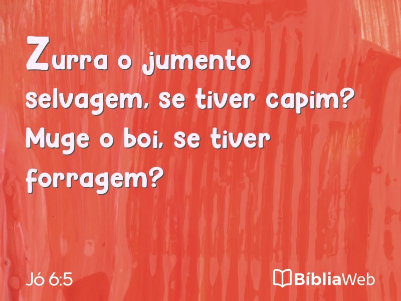 Jó 6:5 em imagem para compartilhar