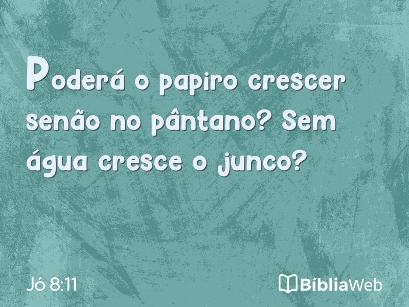 Jó 8:11 em imagem para compartilhar