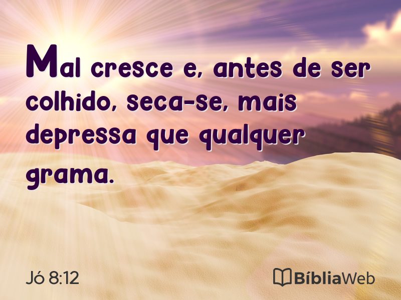 Jó 8:12 em imagem para compartilhar