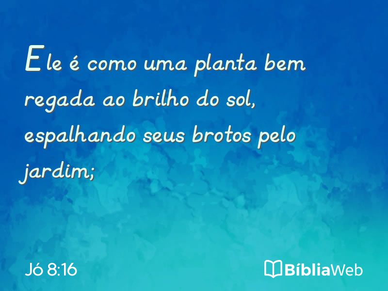 Jó 8:16 em imagem para compartilhar