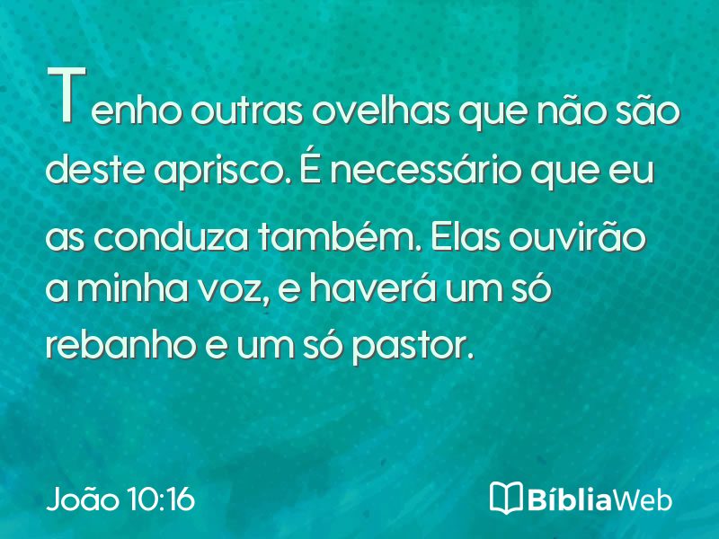 João 10:16 em imagem para compartilhar