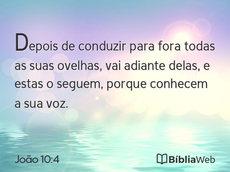 João 10:4 em imagem para compartilhar