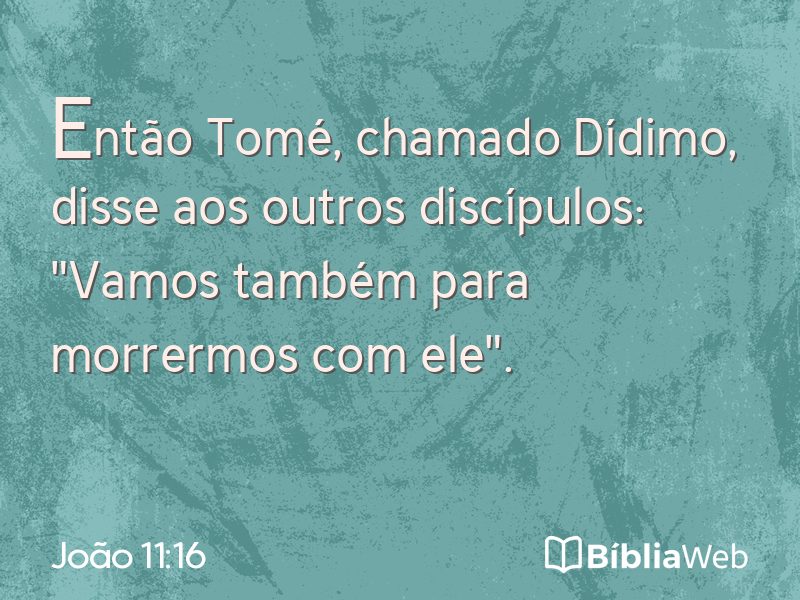 João 11:16 em imagem para compartilhar