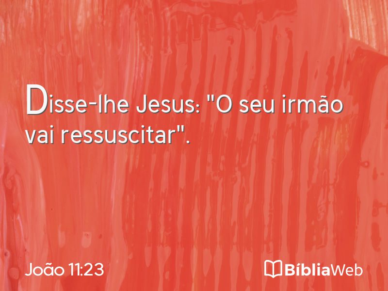 João 11:23 em imagem para compartilhar