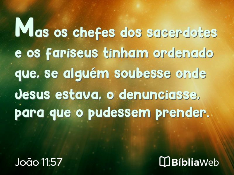 João 11:57 em imagem para compartilhar