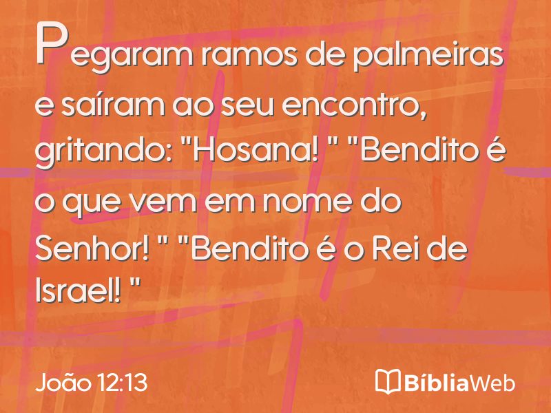 João 12:13 em imagem para compartilhar