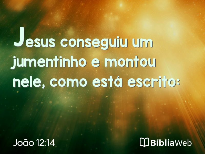 João 12:14 em imagem para compartilhar