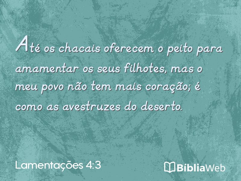 Lamentações 4:3 em imagem para compartilhar