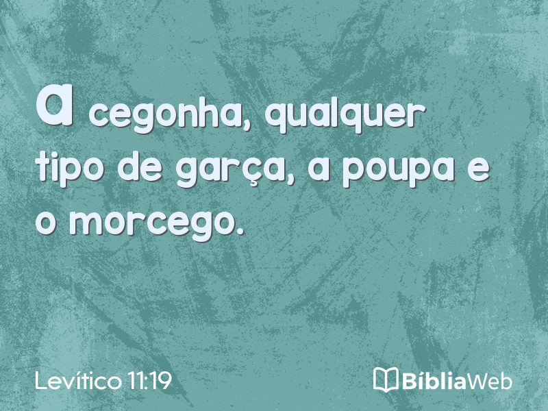 Levítico 11:19 em imagem para compartilhar