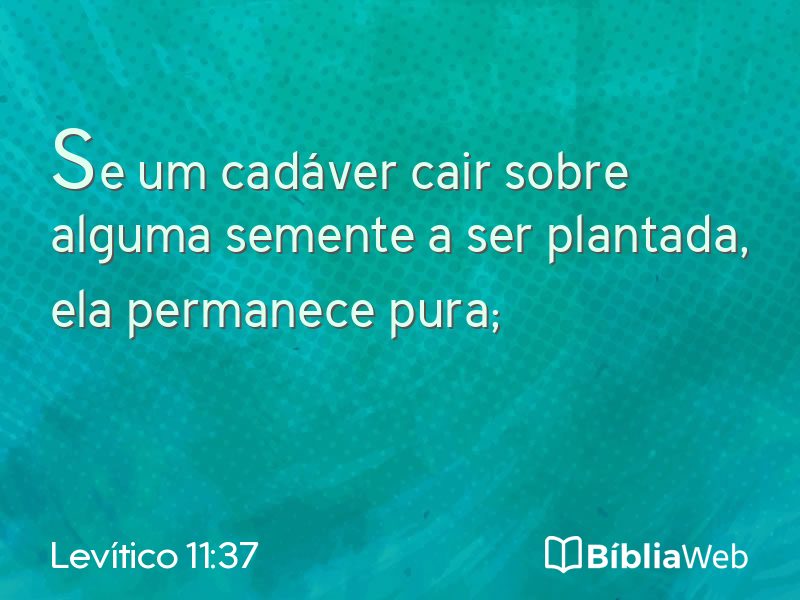 Levítico 11:37 em imagem para compartilhar