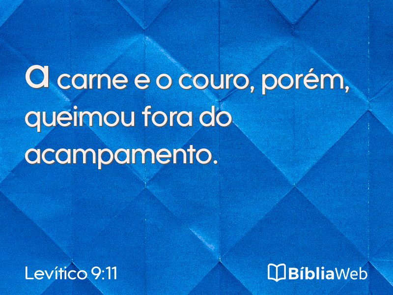 Levítico 9:11 em imagem para compartilhar