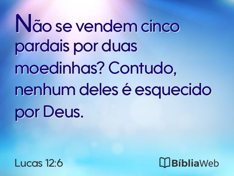 Lucas 12:6 em imagem para compartilhar