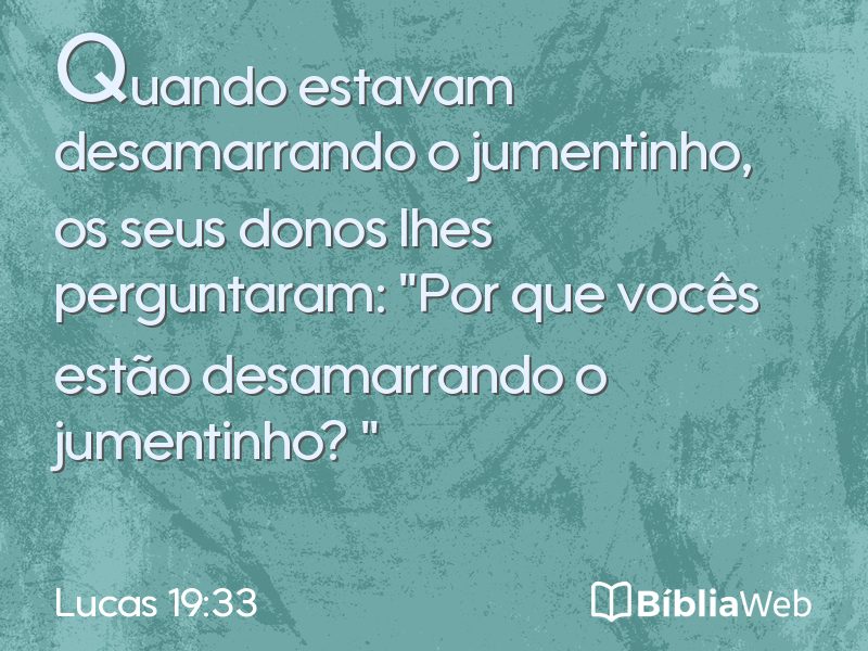 Lucas 19:33 em imagem para compartilhar