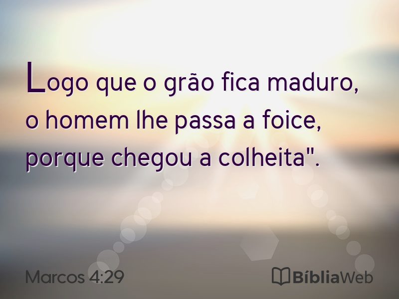 Marcos 4:29 em imagem para compartilhar