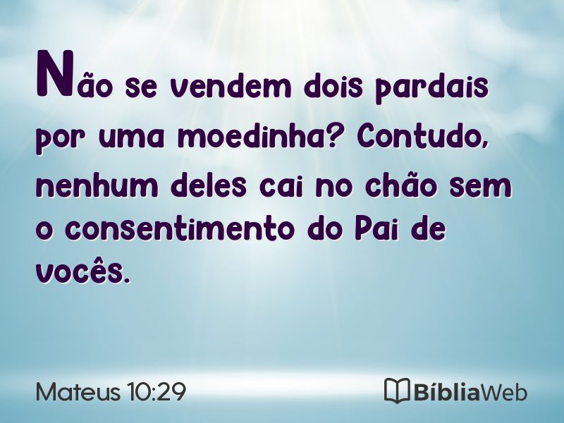 Mateus 10:29 em imagem para compartilhar