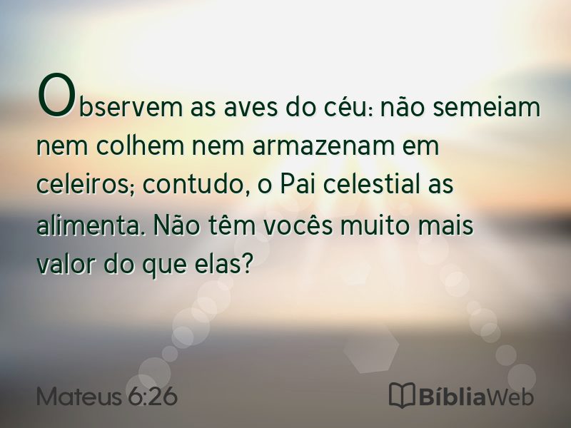 Mateus 6:26 em imagem para compartilhar
