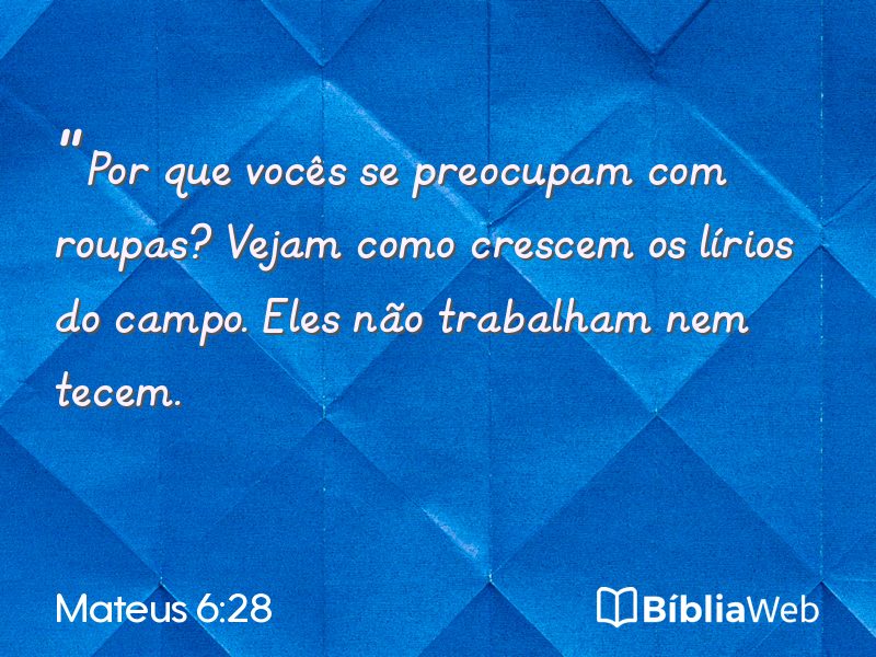 Mateus 6:28 em imagem para compartilhar