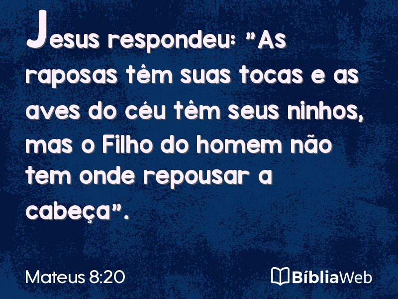 Mateus 8:20 em imagem para compartilhar