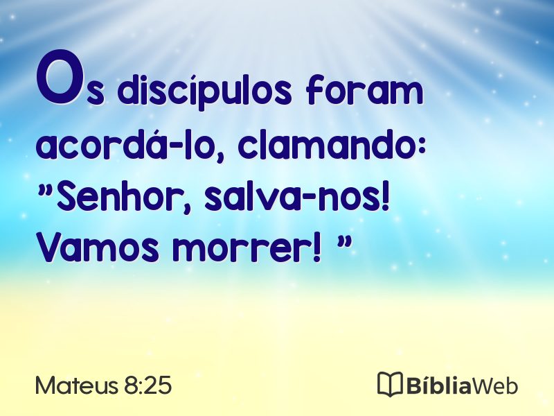 Mateus 8:25 em imagem para compartilhar