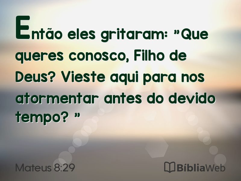 Mateus 8:29 em imagem para compartilhar